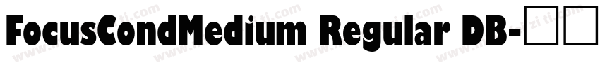 FocusCondMedium Regular DB字体转换